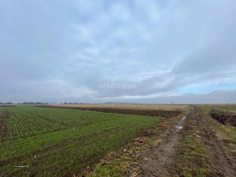 TEREN EXTRAVILAN 13 ARI | FRONT STRADAL 13 M | MARGINEA - 10