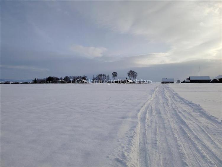 Teren intravilan in Sineu, com. Remetea - 3