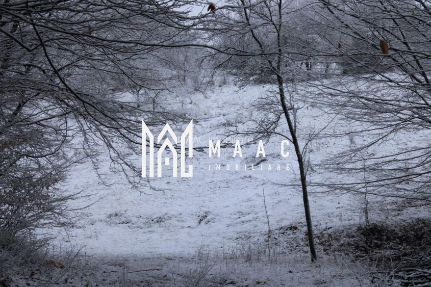 Teren cu izvor de apă minerală  Dangești, Punctul Valea Mare - 4