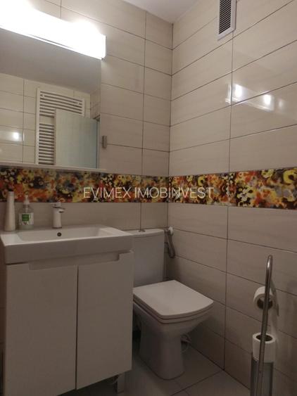 Decebal 3 Camere Decomandat Pet Friendly - 13