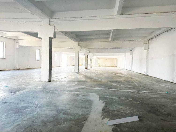 Inchiriere Hale Industriale în Aluniș, Arad  250 mp-1.500 mp - 7