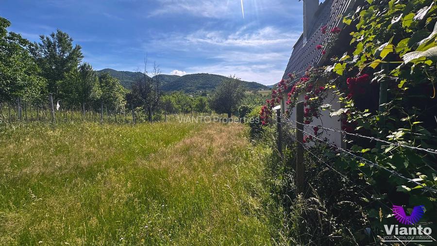 TEREN INTRAVILAN 728MP-TOATE UTILITATILE -FANTANELE - 5