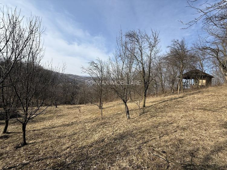 Teren intravilan 2788 mp deschidere 55 ml cu vedere panoramica ! - 2