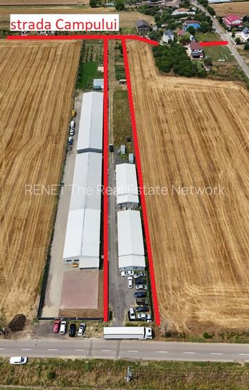 CIOLPANI, LOT 5.000 MP, HALE INDUSTRIALE! - 2