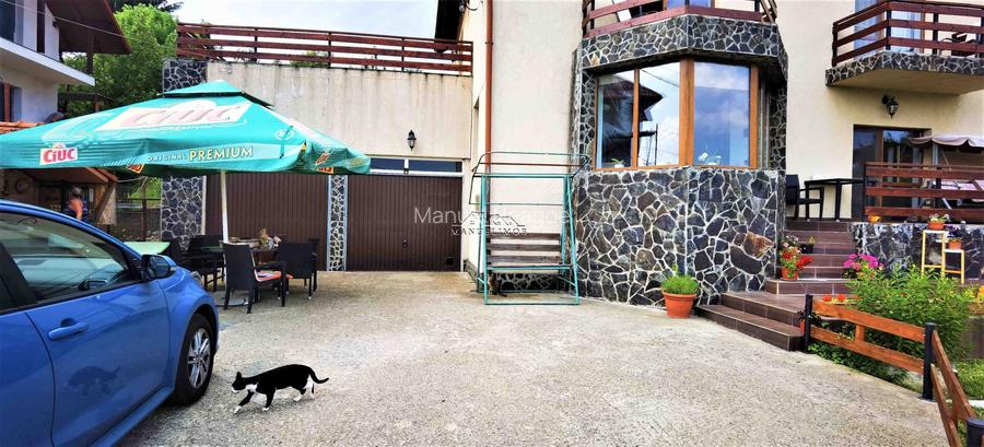 Manuel recomanda : Vila superba in Cornu de Jos 295mp , teren 1360mp - 46