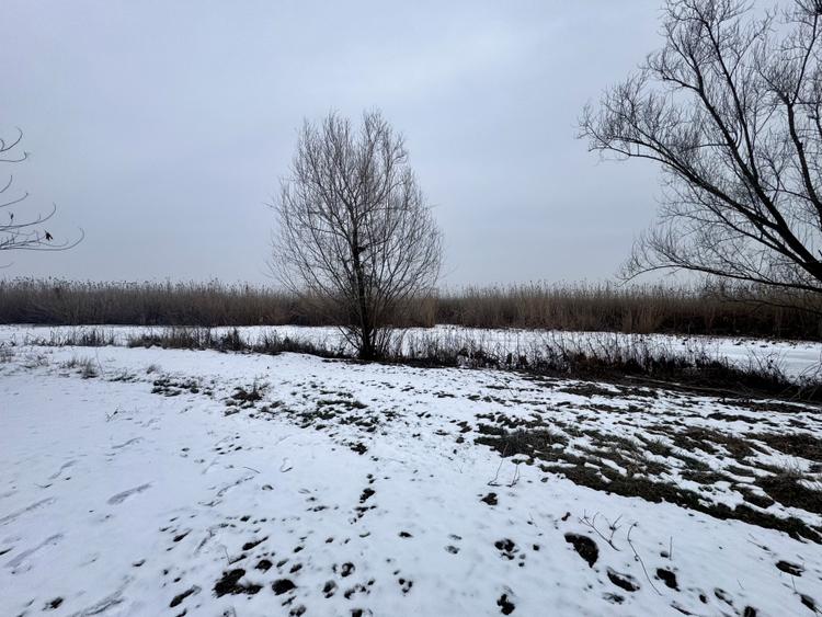 Teren 887mp Snagov | utilitati la gard, in curs autorizare ponton, curte privata