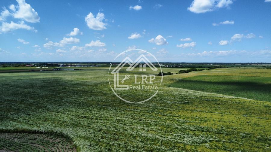 Teren Intravilan 9.918 mp Creața Dascălu, T66– Parcelabil