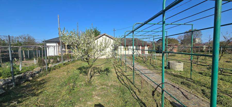 Exclusivitate-Vadu, zona centrala, casa 75mp, teren 1917 mp/31ml deschidere - 32