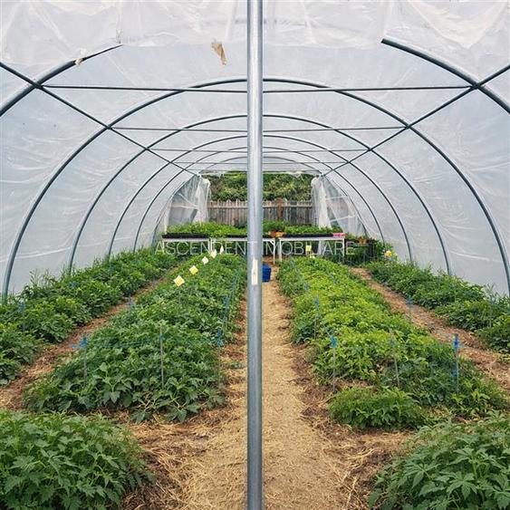 Transilvania Camping, domeniu de 14.400mp,Sanmarghita de Mures:2cladiri, apartam - 24