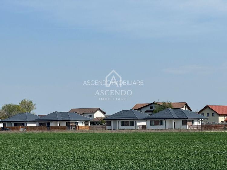 Vanzare teren 7.000 mp – Buftea, zona Tămași | lângă pădure - 6