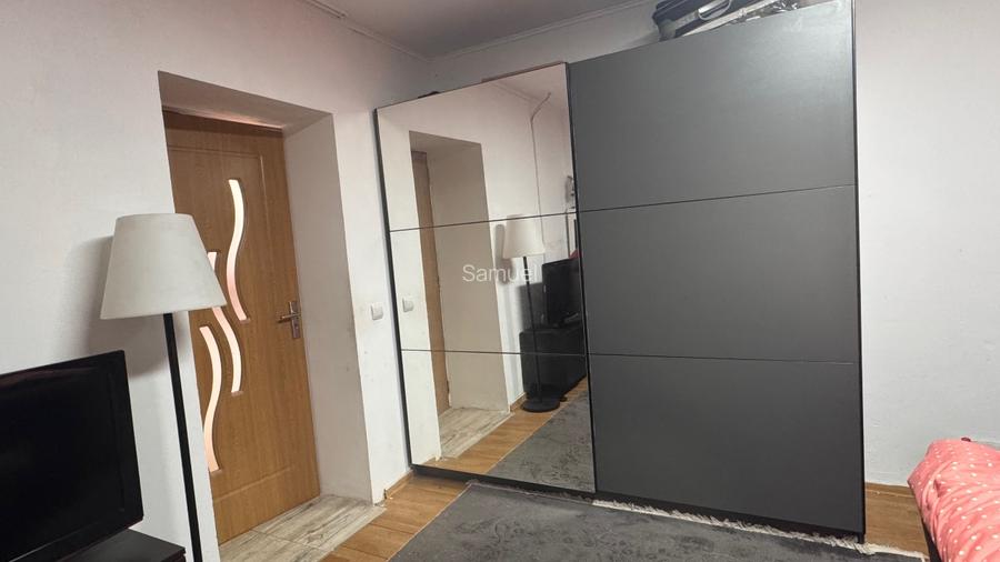 Casa in localitatea Lovrin - 4