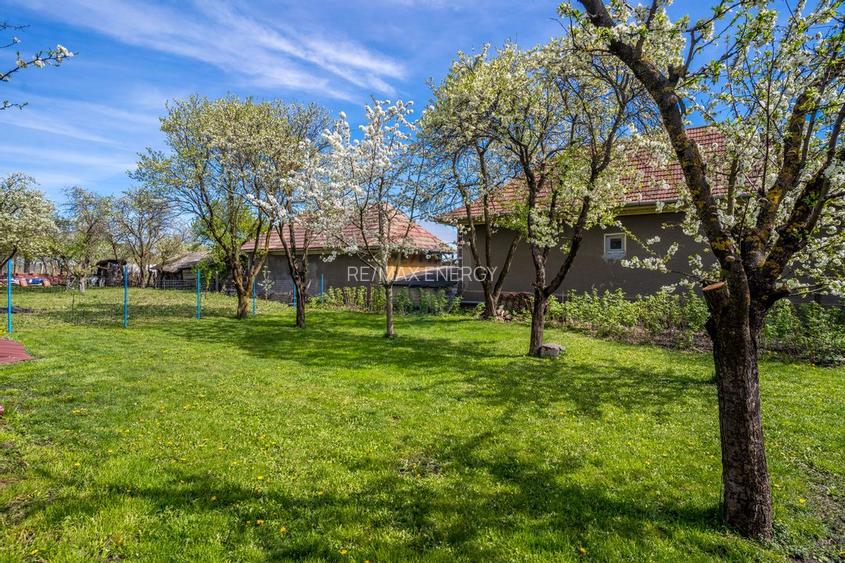 Casă primitoare, Ceanu Mic, terasa, garaj, curte cu pomi, COMISION 0 % - 16