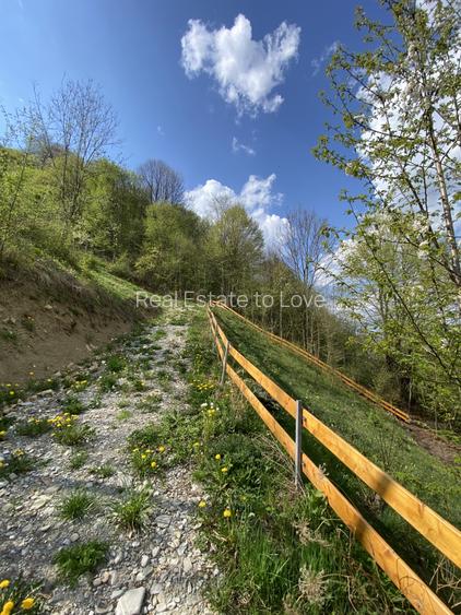 Teren vedere panoramică lac Paltinu si dealuri împădurite in Valea Doftanei - 13