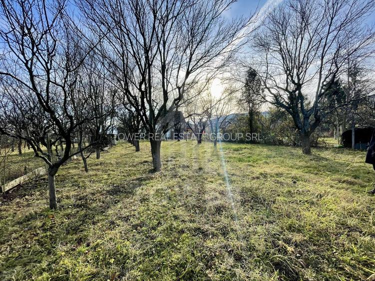 Teren intravilan 1.915 mp + cabană din lemn | Tocile – Sadu - 3