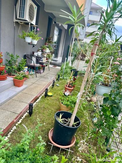 Braytim. Langa Profi. Curte proprie. Bucatarie inchisa. - 8