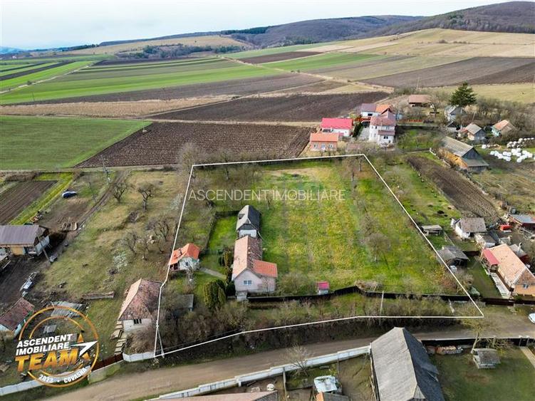 FILM! 5.000mp teren intravilan cu casuta rustica, Dalnic, Covasna - 37