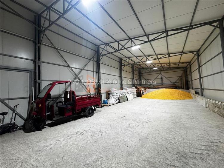 Hala Industriala zona Pietroasele - 5