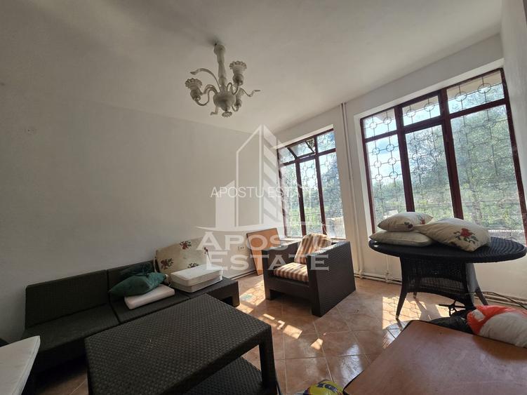 Casa de vanzare, potential pensiune, pe malul Timisului,Sag,comision 0 - 12