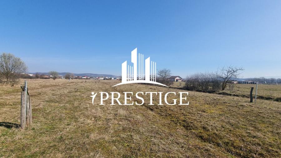 TEREN DE VÂNZARE 1000 MP ȘELIMBĂR ZONA TROIȚĂ | INVESTIȚIE - 9
