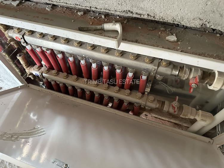 FERDINAND - Lirei | Teren 412 mp| Cladire 750 mp | structura noua - 11