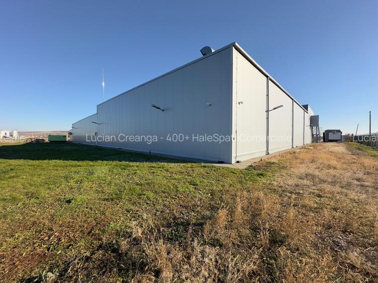 Hala 3026mp, teren 13653mp, Dumesti - 11
