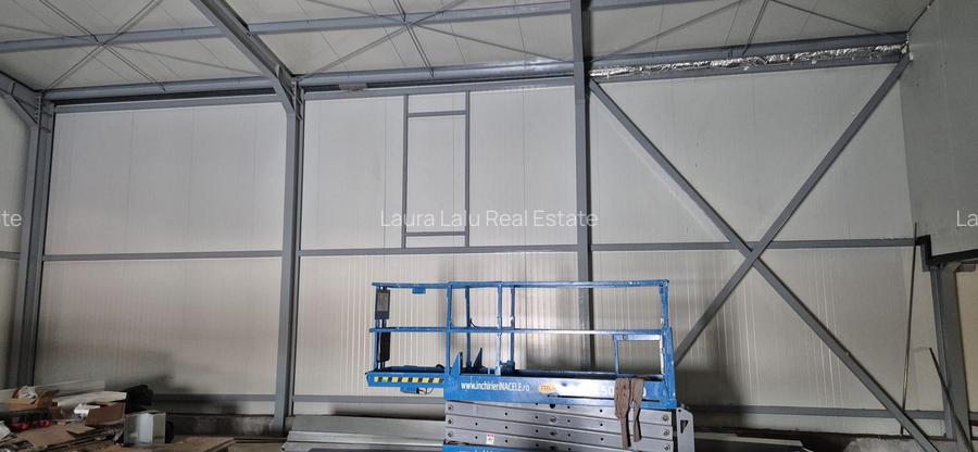 De vanzare hala industriala de 300 mp in Prelungirea Garii Catelu - 9