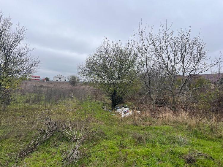 TEREN DE VANZARE PROGRESULUI 5600 MP !!! - 5