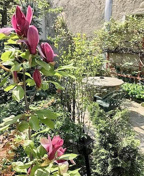 Casa cocheta pozitionata central - 2