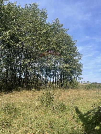 Teren intravilan 850mp Zarnești-Bran, natură-relaxare - 11