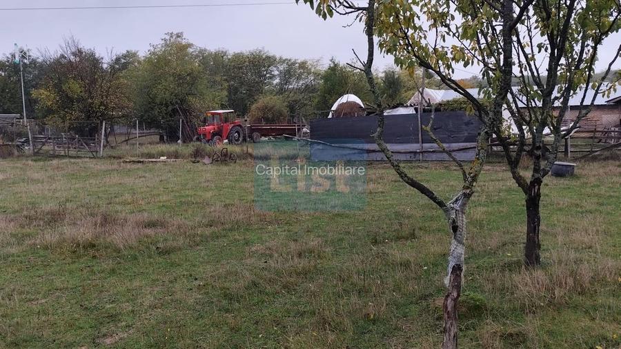 VIla de vanzare Teisani Stubeiu 11250 mp - 8