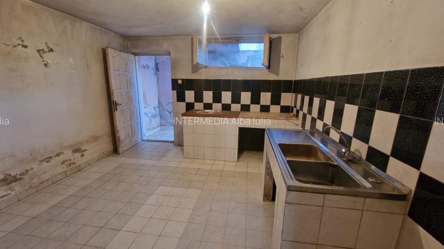 INCHIRIERE Casa individuala D + P + E + M cu 8 Camere 5 Bai 750 mp Teren CETATE - 18