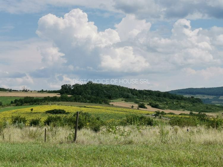 BUCIUM , 6 KM DIN IASI , teren perfect plan , 99.999 % acces pe asfalt - 12