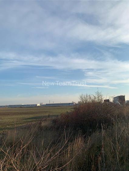 Pantelimon Centura  Vanzare Teren Suprafata Compacta 71 889mp - 2