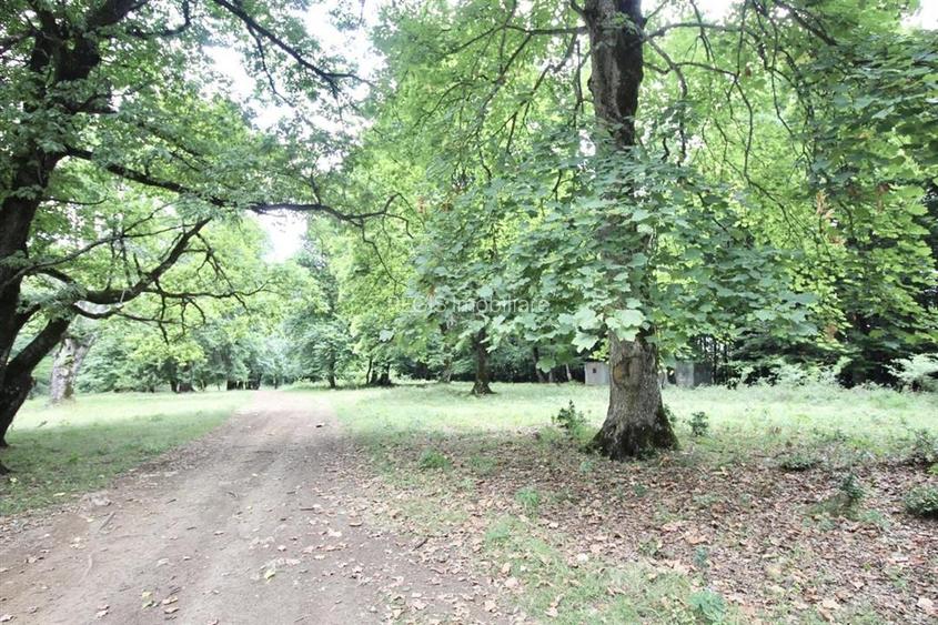 Teren de vanzare 4713 mp investitie | Poiana Brasov - 6