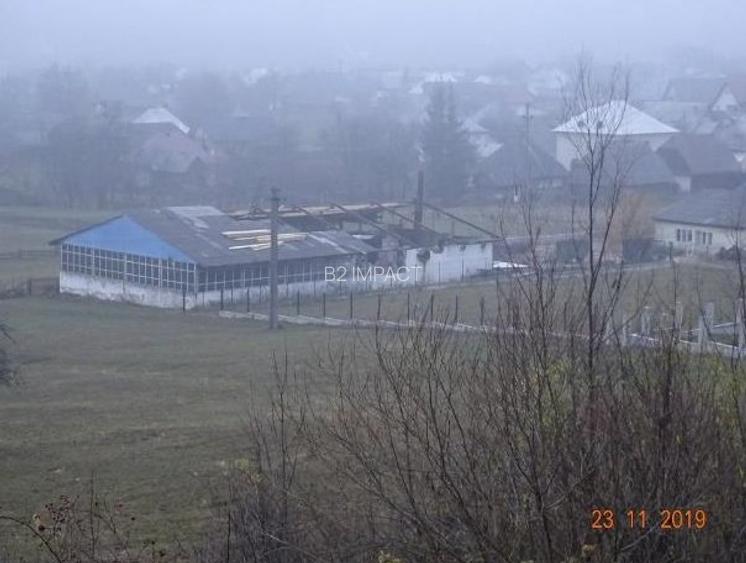 Teren intravilan 1.000 mp + hala debitare si hala prelucrare lemn - 8