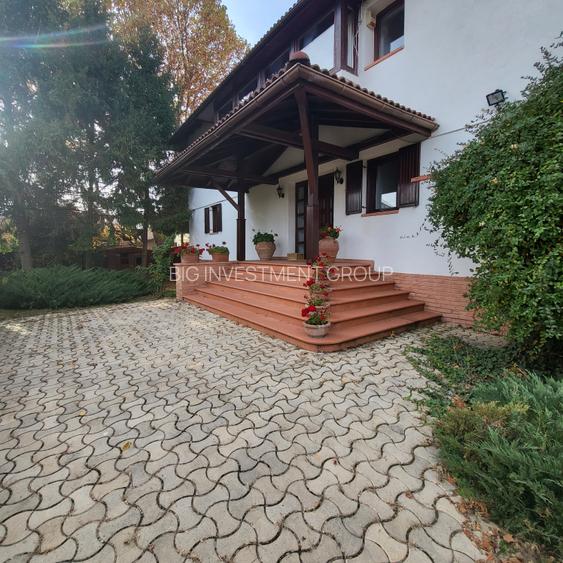 Vila lac snagov in cea mai buna portiune a lacului, ponton, garaj barca, piscina - 43