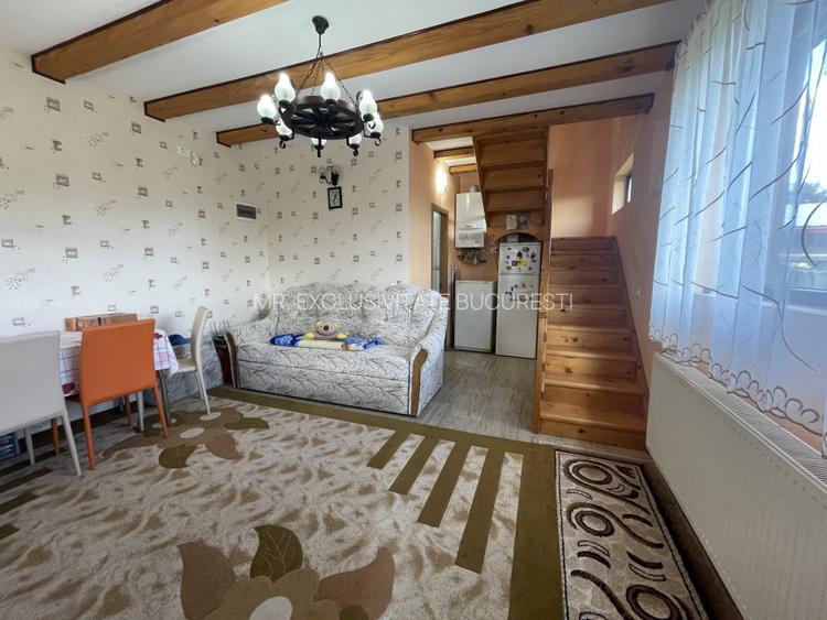 Cornu de Jos  Doua  case moderne, crama la subsol, prosumator - 32