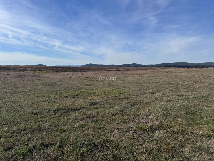 Teren de vanzare in Harman 4,4 Hectare - 10