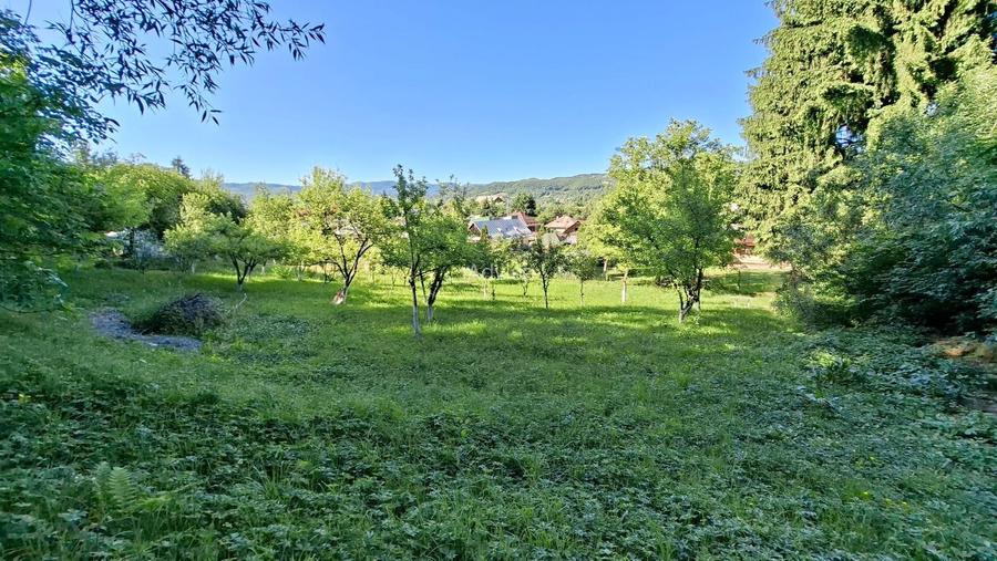 Casă cochetă cu teren generos și priveliște deosebită Vișeu de Sus - 7