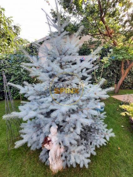 Parc Marin Preda, sector 1, vanzare vila individuala, mobilata, gradina, parcare - 29