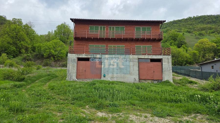 Casă de vacanță pe malul Dunării, Svinița - 4