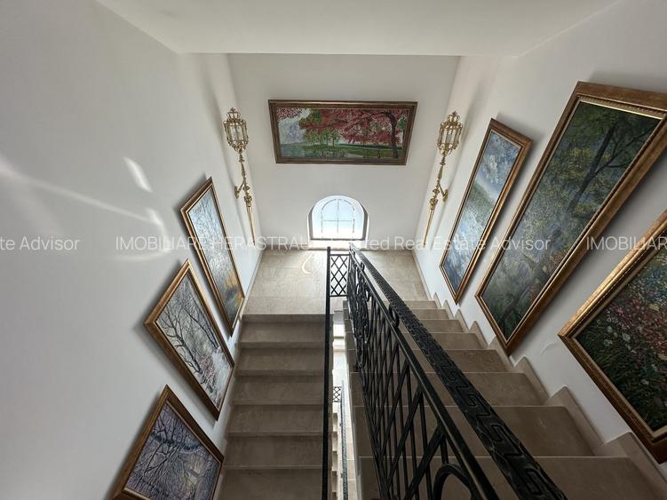 Vila deosebita pe Iancu Nicolae  I  Garaj 2 mașini și curte 500 mp - 11