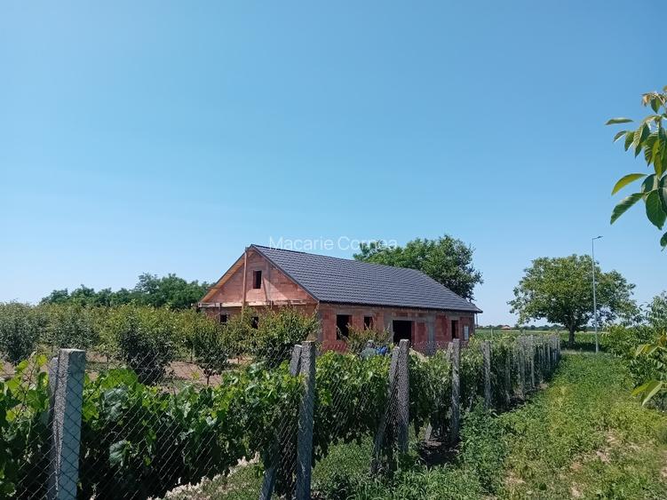 Livadă  mixtă  De vanzare  - 2