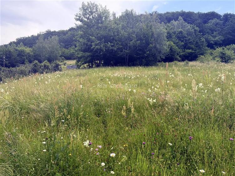 Comision 0%teren Somesu Rece zona Cabana Bradet - 9