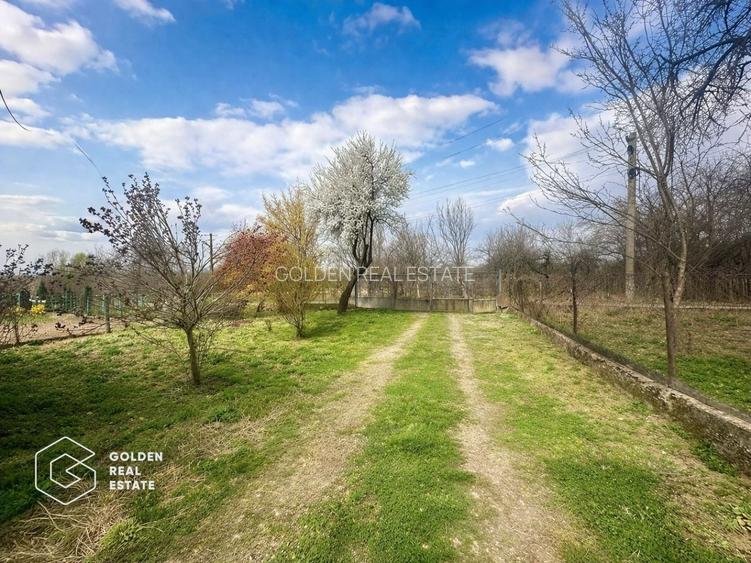 Casă cu teren generos 1.944 mp, Măgulicea, Vârfurile - 14