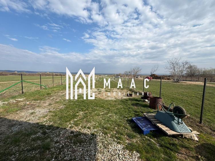 Teren intravilan |1000 MP | Poplaca - 5