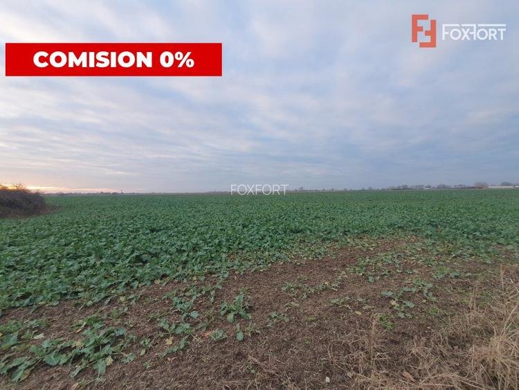 Comision 0% Teren extravilan agricol 21,32 ha sau intravilan cu PUZ aprobat - 24