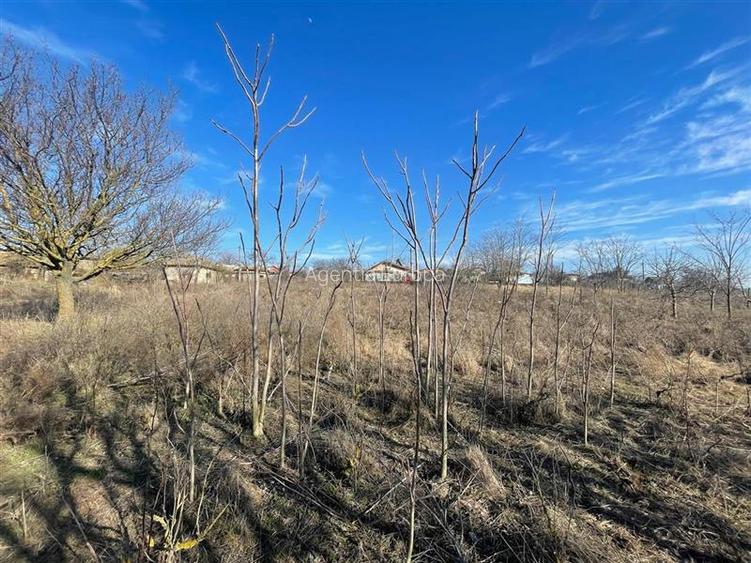 Casa de vanzare in localitatea Malcoci-judet Tulcea - 6