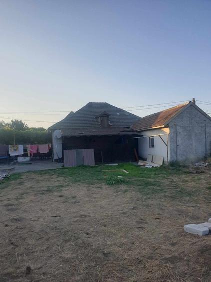 Cogealac - casa cu 3 camere, 1500 mp teren