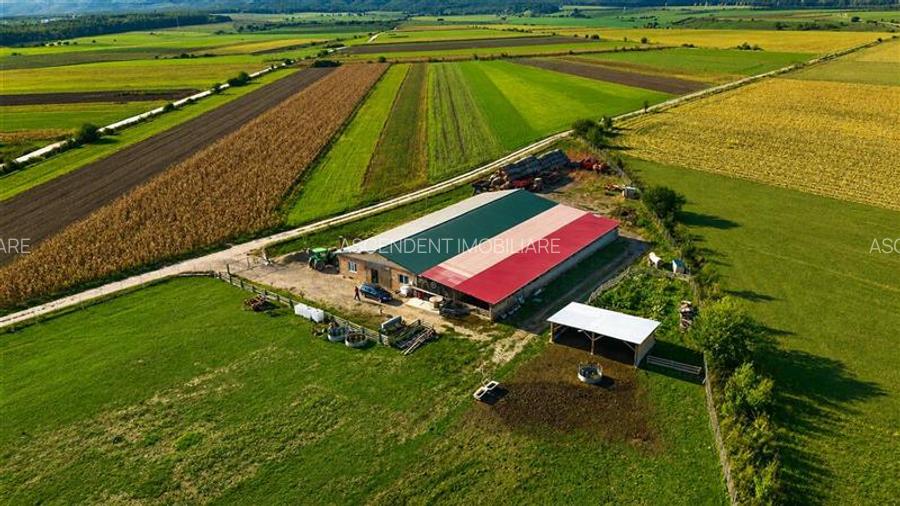 FILM! 18.000 mp, extravilan, agricol+ constructii:ferma,investitii agricole, Rot - 3